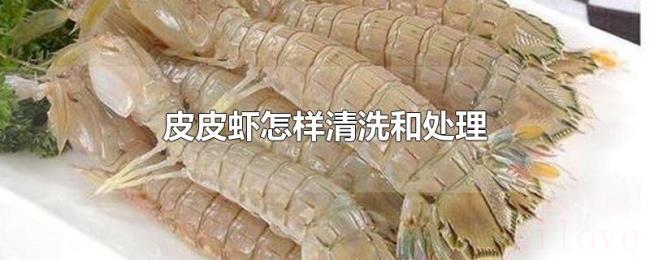 皮皮虾怎样清洗和处理 皮皮虾怎样清洗和处理