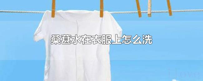 桑葚水在衣服上怎么洗