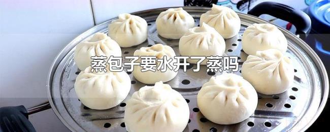 蒸包子要水开了蒸吗 蒸包子要水开了蒸吗