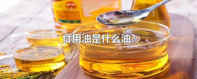 食用油是什么油? 食用油是什么油?