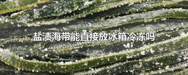 盐渍海带能直接放冰箱冷冻吗
