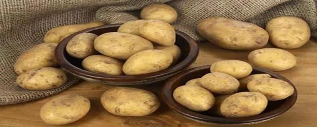 土豆和米饭哪个含糖高