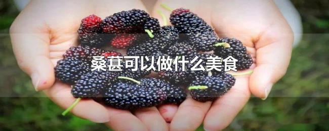 桑葚可以做什么美食