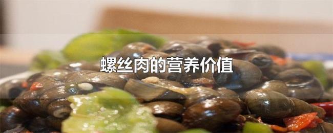 螺丝肉的营养价值