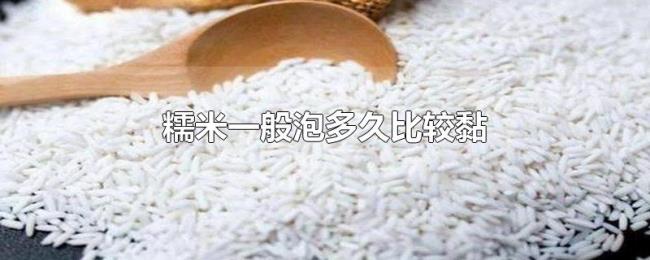 糯米一般泡多久比较黏