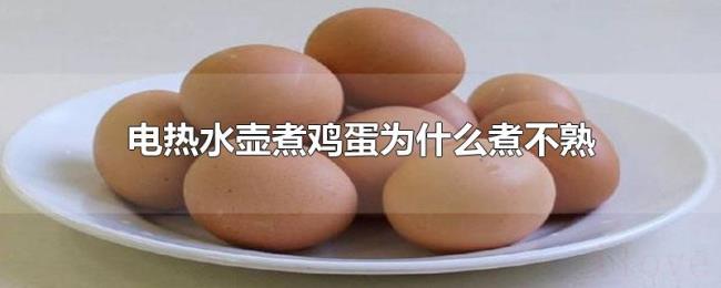 电热水壶煮鸡蛋为什么煮不熟