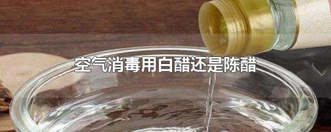 空气消毒用白醋还是陈醋 空气消毒用白醋还是陈醋