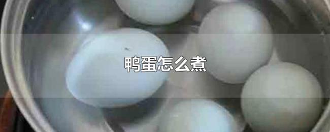 鸭蛋怎么煮 鸭蛋怎么煮