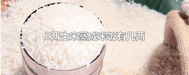 2两生米蒸成米饭有几两 2两生米蒸成米饭有几两