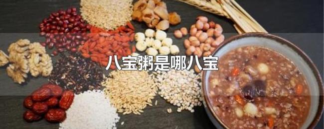 八宝粥是哪八宝 八宝粥是哪八宝
