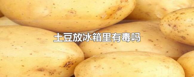 土豆放冰箱里有毒吗 土豆放冰箱里有毒吗