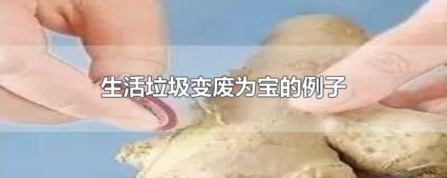生活垃圾变废为宝的例子 生活垃圾变废为宝的例子