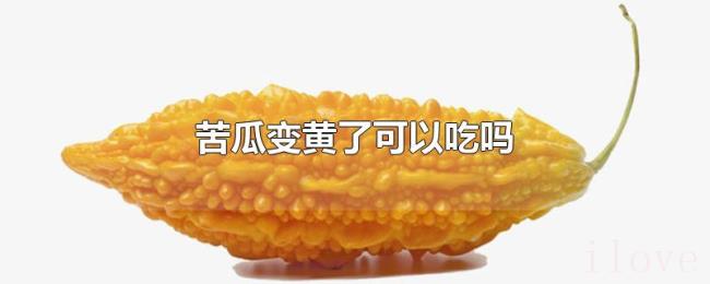 苦瓜变黄了可以吃吗 苦瓜变黄了可以吃吗