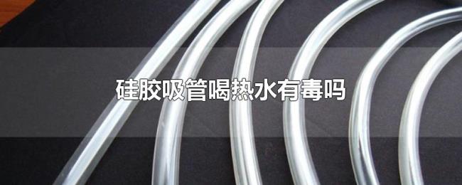 硅胶吸管喝热水有毒吗