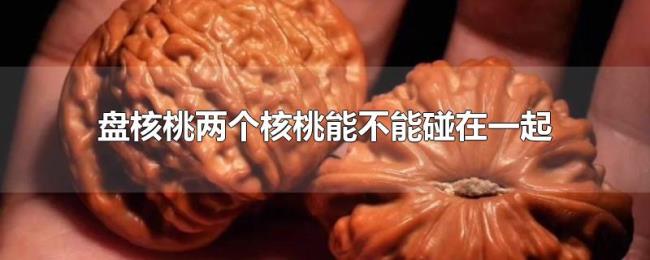 盘核桃两个核桃能不能碰在一起