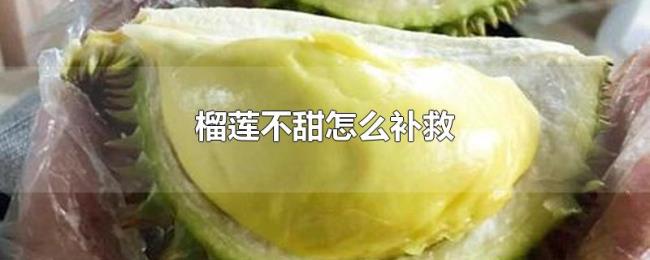 榴莲不甜怎么补救 榴莲不甜怎么补救