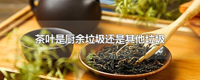 茶叶是厨余垃圾还是其他垃圾
