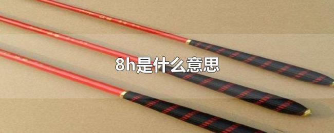 8h是什么意思 8h是什么意思