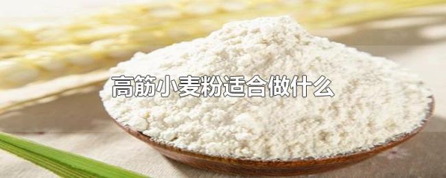 高筋小麦粉适合做什么 高筋小麦粉适合做什么