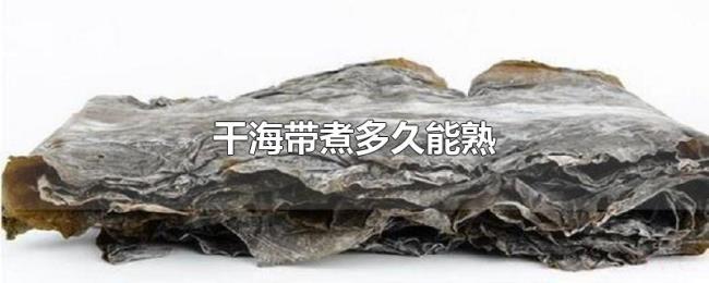 干海带煮多久能熟