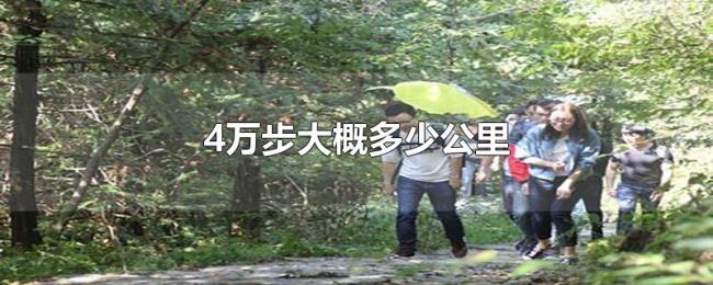 4万步大概多少公里 4万步大概多少公里