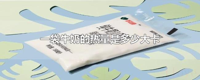 一袋牛奶的热量是多少大卡