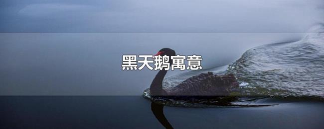 黑天鹅寓意