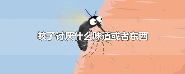 蚊子讨厌什么味道或者东西