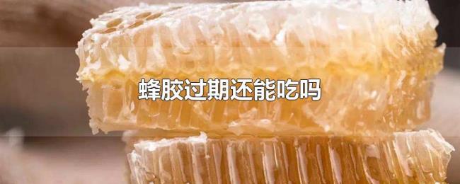 蜂胶过期还能吃吗 蜂胶过期还能吃吗