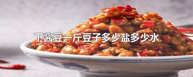 下酱豆一斤豆子多少盐多少水