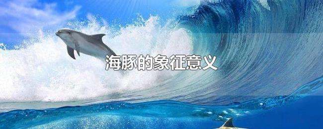 海豚的象征意义 海豚的象征意义