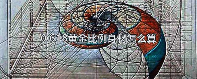 0.618黄金比例身材怎么算 0.618黄金比例身材怎么算