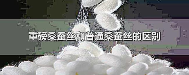 重磅桑蚕丝和普通桑蚕丝的区别