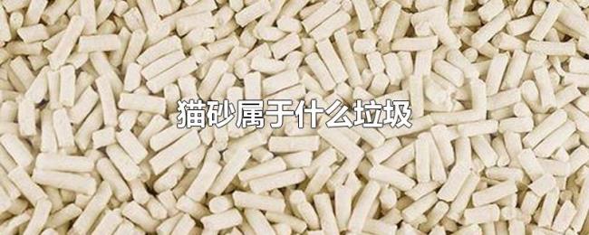 猫砂属于什么垃圾