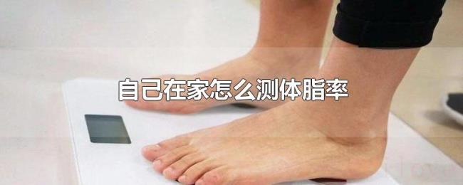 自己在家怎么测体脂率 自己在家怎么测体脂率
