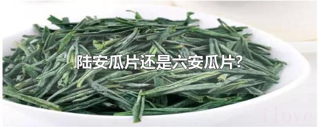陆安瓜片还是六安瓜片? 陆安瓜片还是六安瓜片?