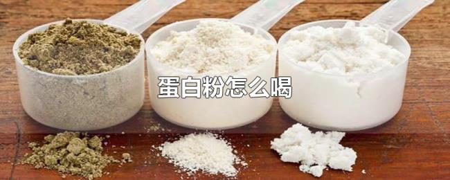 蛋白粉怎么喝 蛋白粉怎么喝