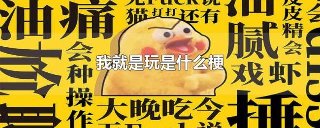 我就是玩是什么梗 我就是玩是什么梗
