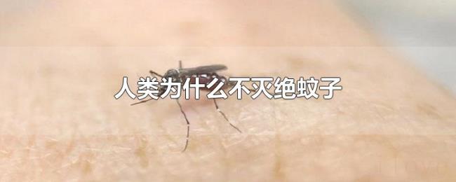 人类为什么不灭绝蚊子