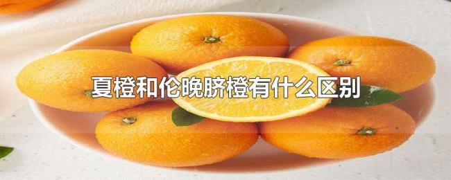 夏橙和伦晚脐橙有什么区别 夏橙和伦晚脐橙有什么区别