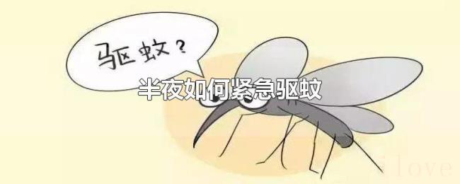 半夜如何紧急驱蚊