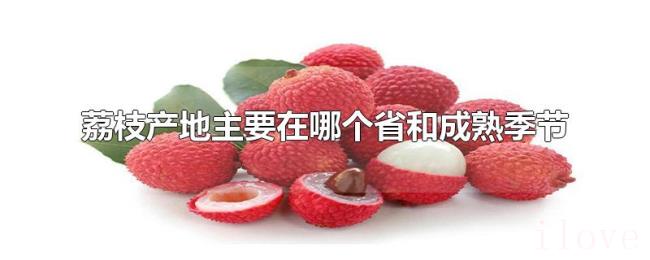 荔枝产地主要在哪个省和成熟季节 荔枝产地主要在哪个省和成熟季节