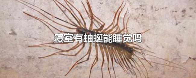 寝室有蚰蜒能睡觉吗