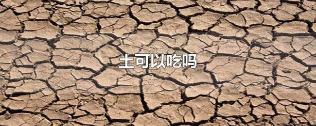 土可以吃吗 土可以吃吗