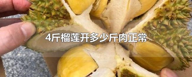 4斤榴莲开多少斤肉正常 4斤榴莲开多少斤肉正常