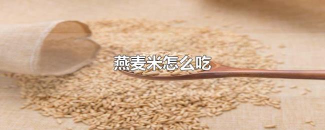 燕麦米怎么吃 燕麦米怎么吃