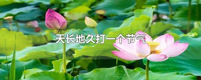 天长地久打一个节气 天长地久打一个节气