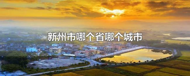 新州市哪个省哪个城市 新州市哪个省哪个城市