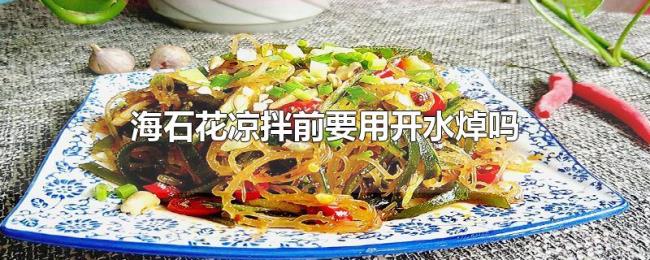 海石花凉拌前要用开水焯吗 海石花凉拌前要用开水焯吗
