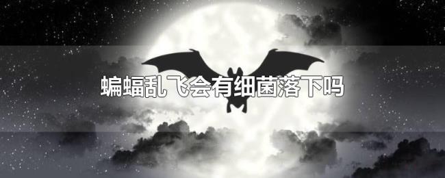 蝙蝠乱飞会有细菌落下吗 蝙蝠乱飞会有细菌落下吗